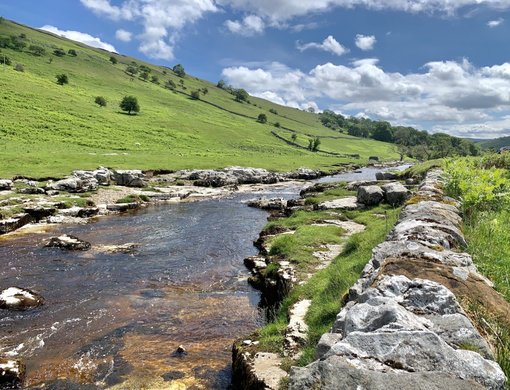 Out and About in the Yorkshire Dales