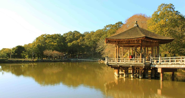 Admire the beauty of Nara city