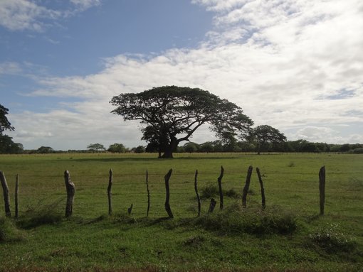 Nicaragua: Top 5 Destinations