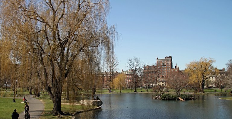 Boston Common