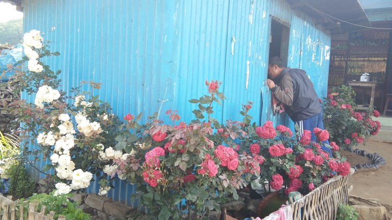 Rose gardens and colorful houses are everywhere in Eastern Nepal