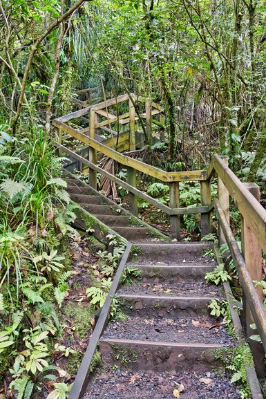The steps to the base of the falls