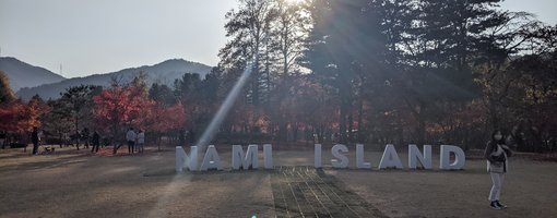 Traveling Outside of Seoul: Nami Island and Hwaseong Fortress