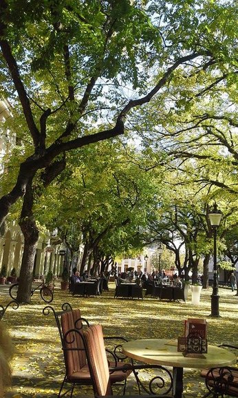 Cafes in Subotica