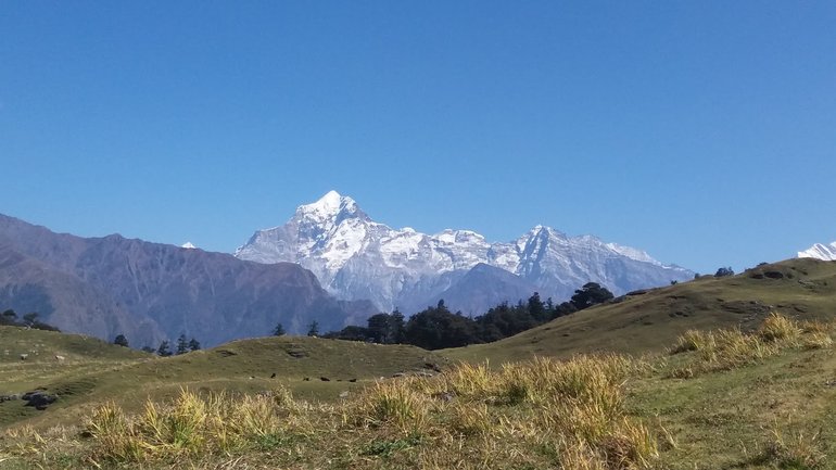 Dronagiri Peak from Gurson bugyal.