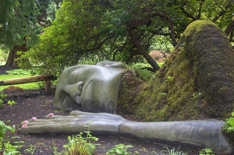 Moss Lady