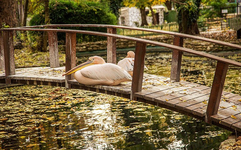 Varna Zoo