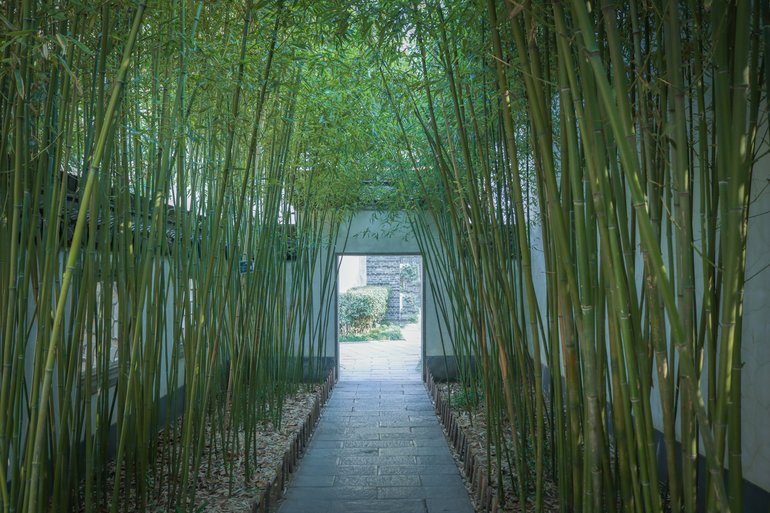 Bamboo walkway in the Presidential Palace