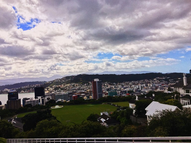 View of Wellington City from the Botanical Gardens 