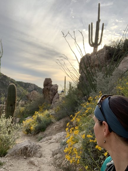 Catalina State Park, Romero Canyon hike