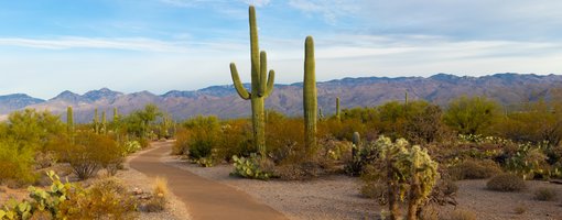 Looking For An Adventure? Here's Why Arizona State Parks Is A Whole Pack