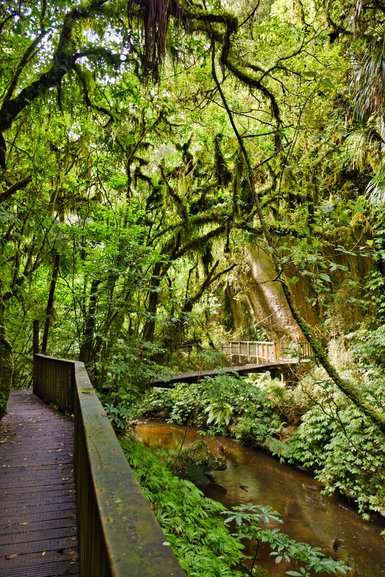 The boardwalk and Suspension Bridge across to the Natural Bridge