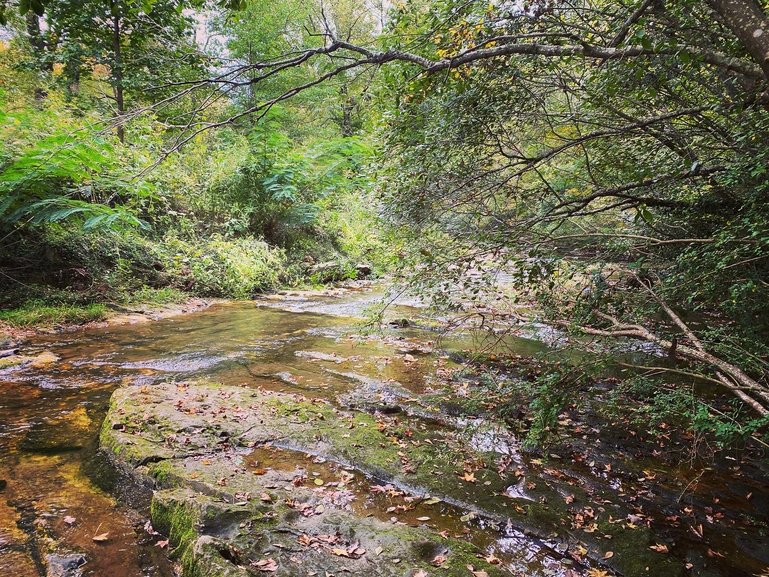 Hot Springs National Park