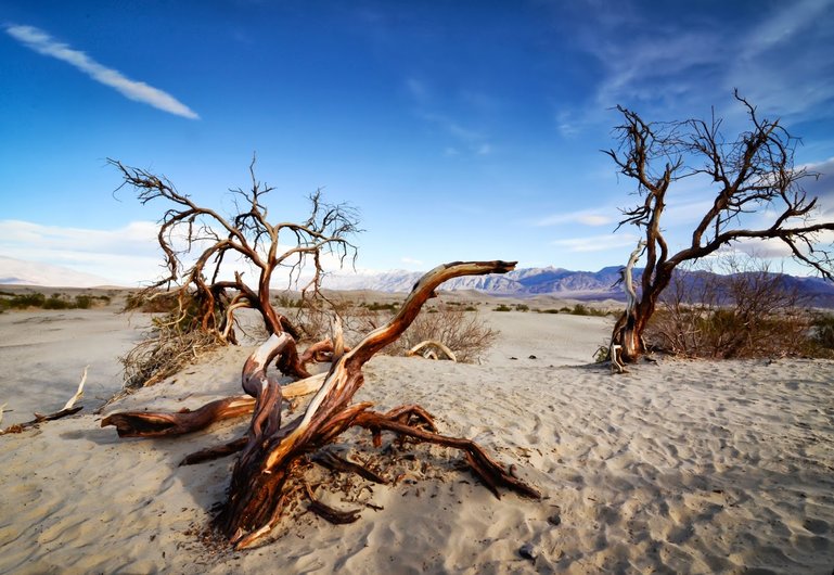 Mesquite Dunes