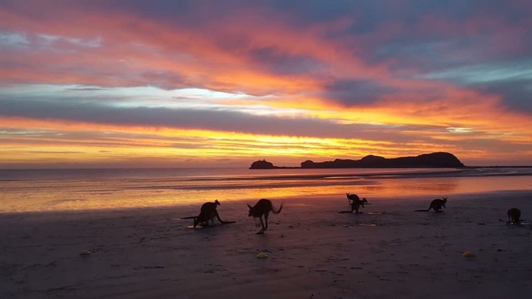 Cape Hillsborough Sunrise