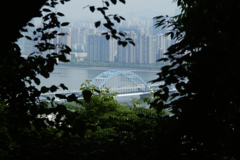 View over Fuxing Bridge from the top of Phoenix Hill