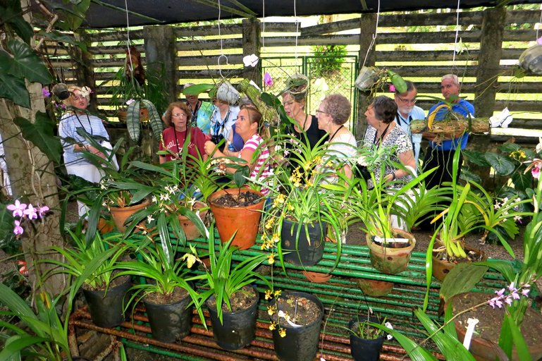Soroa Orchid Botanical Garden