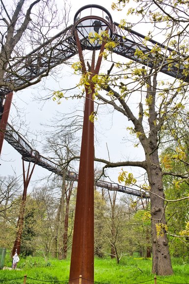 Soaring 18m off the ground, you can walk up amongst the canopy of the trees