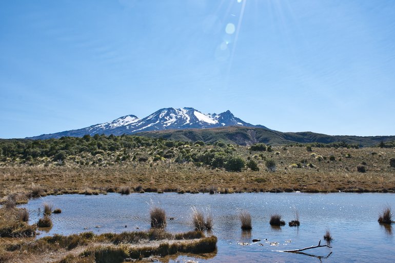 You come out of the bush to a boardwalk and a fantastic view of Mt Ruapehu