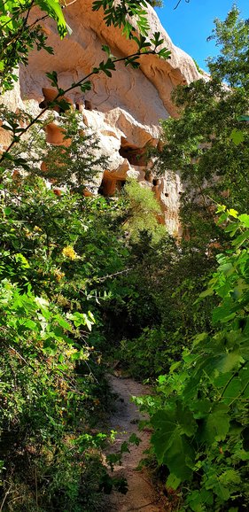 The famous caves carved in the rock