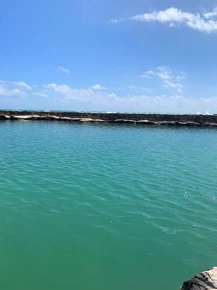 Fresh saltwater pool