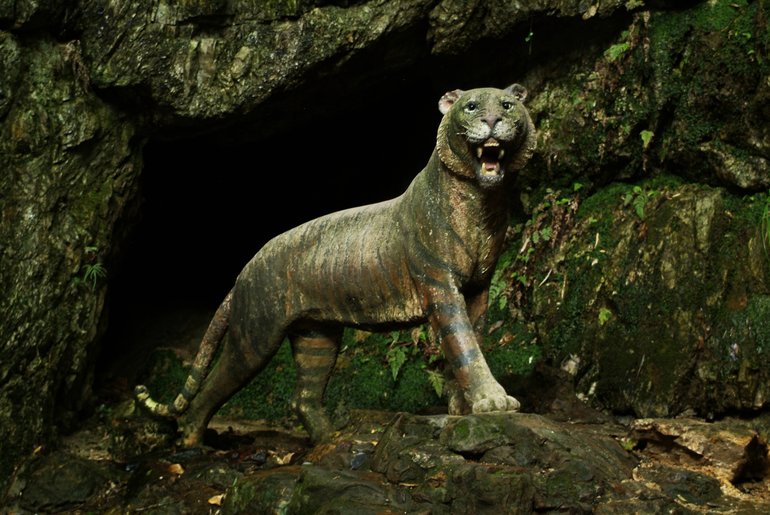Tiger at Dicui Cliff