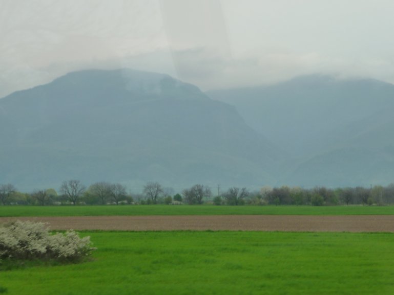 Valley of the Roses