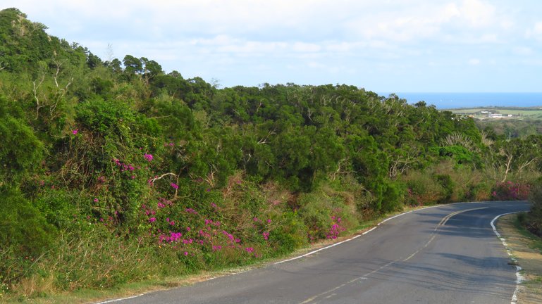 Road between the Kenting Recreation Area and Sail Rock