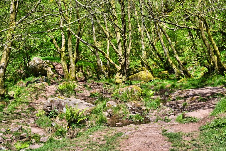 Rocks and small creeks cross the track