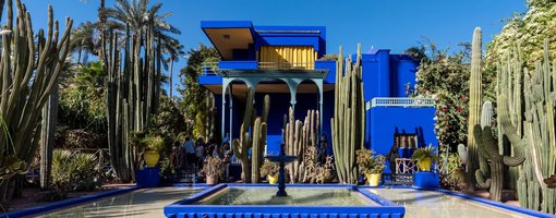 Top 7 Things to do in Jadrin Majorelle, Morocco