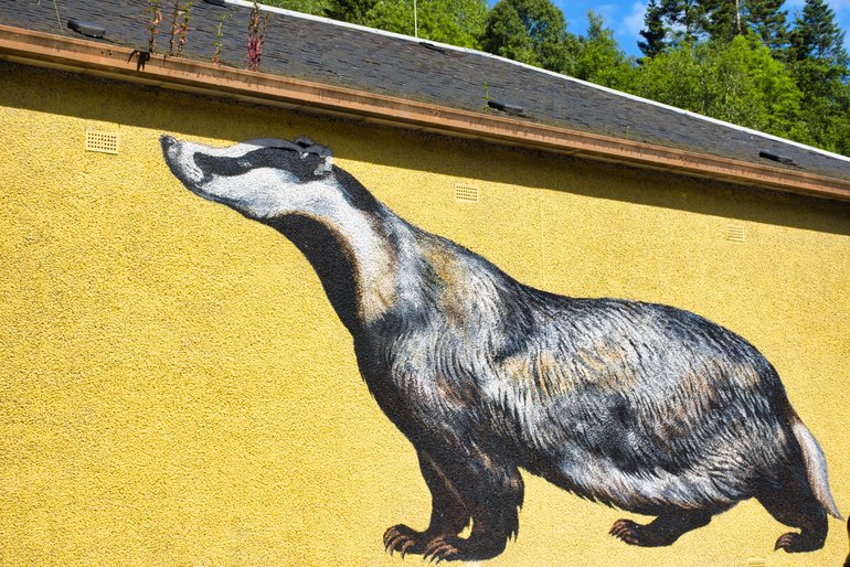 The Badger on the side of the Hydroelectric Power Station wall