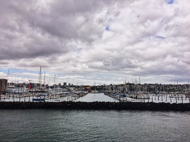 On the Harbour Cruise in Auckland