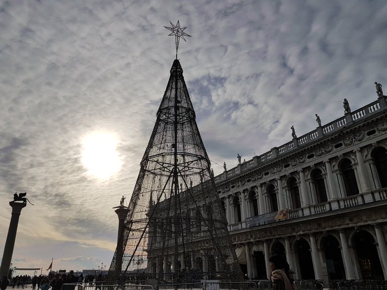 Christmas Tree by Day