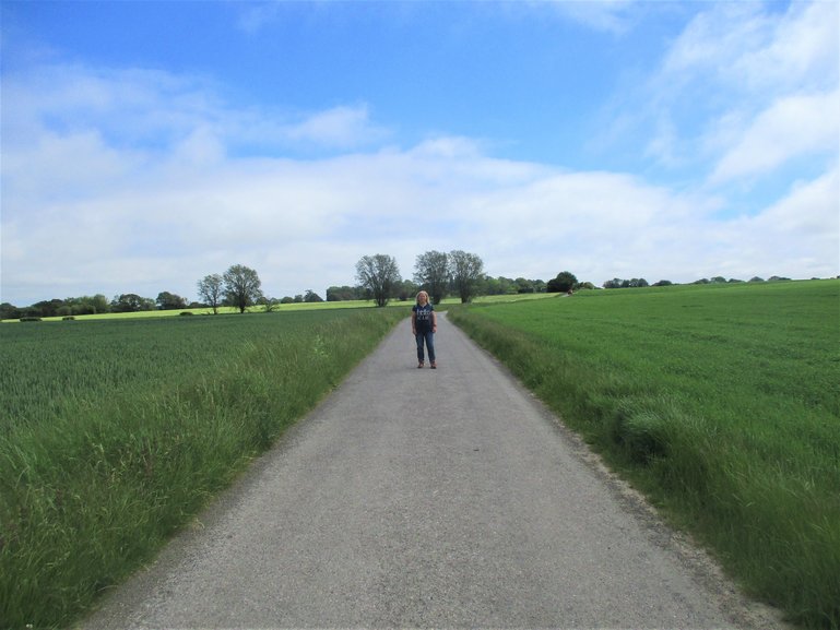 Country Lanes