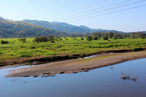 Tarcoles River Trip