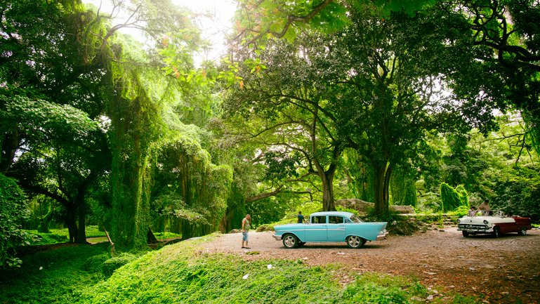 Parque Almendares