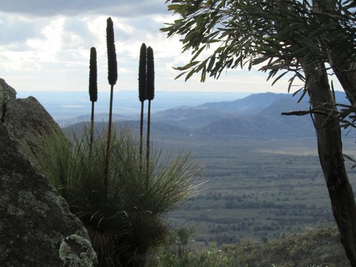 Visiting Flinders Ranges in South Autralia