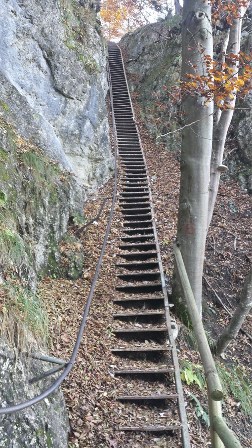 Hike to Mala Osojnica for a beautiful view of Lake Bled