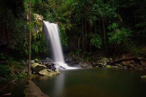 Easy Waterfalls to See in The Gold Coast Hinterland