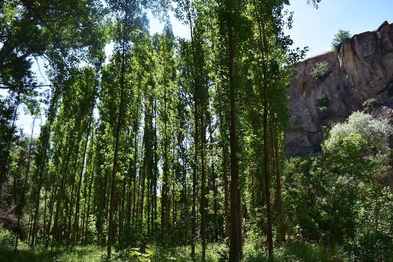 Ihlara Valley