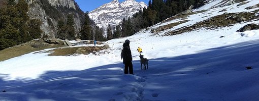 Ultimate guide to Hampta Pass Trek