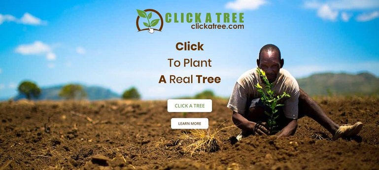 Click a tree