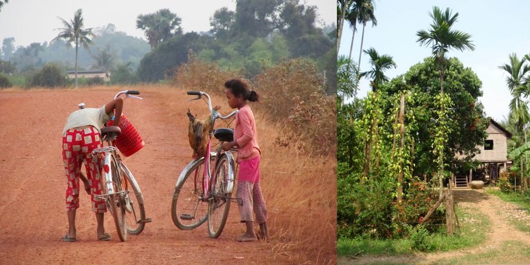 Bicycles in Kep