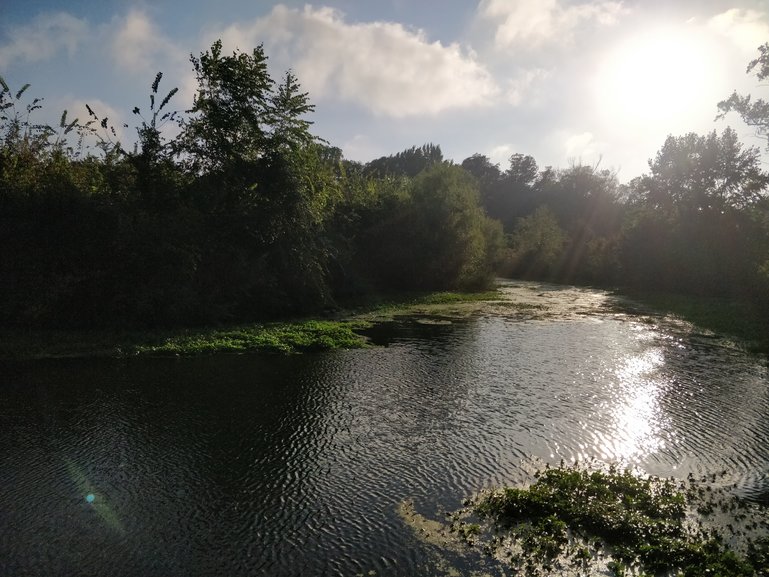 Prospect Park