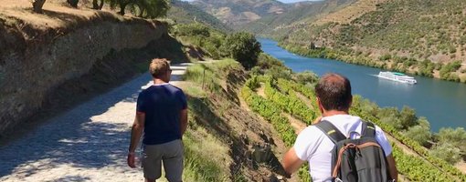 Witness the Cycles of Nature, the Work and The Days in Douro Valley