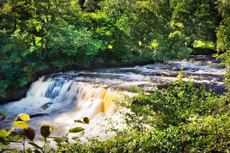 An impressive fall with trees on both sides of the river