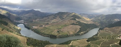 Experiences in Douro Valley