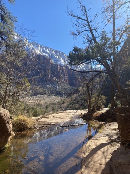 View from Emerald Pools Trail at Zion National Park