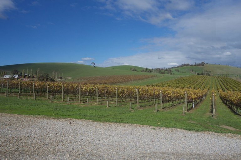 Soumah of the Yarra Valley views