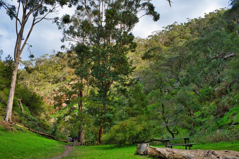 The picnic grounds just before you reach the waterfall